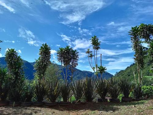 Cabaña Paraíso Verde (Cabana Paraiso Verde) in Copey