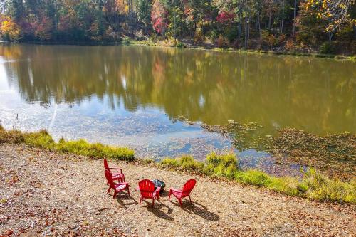 Waterfront Ellijay Retreat - Fire Pit and Lake Views