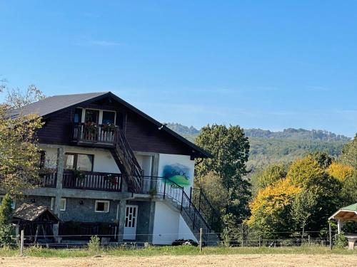 Viesnīcas āriene, Casa Piscul Verde Vladeni in Dumbravita (Brasov)