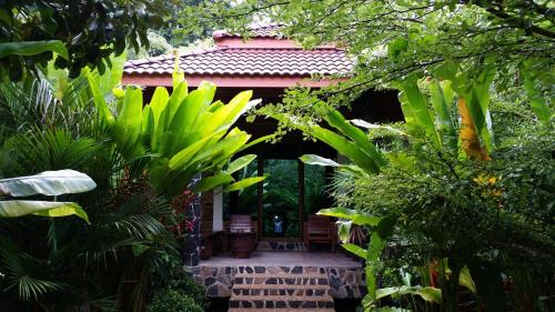Hotel Khaosok and Spa - 전망