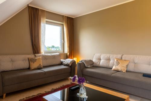 1 king bed, 2 sofa beds