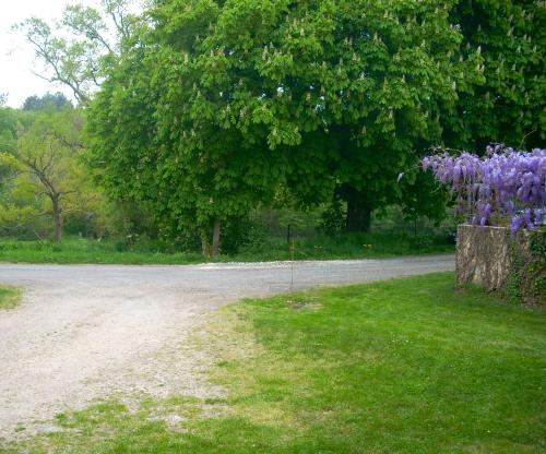 Sous les Marronniers
