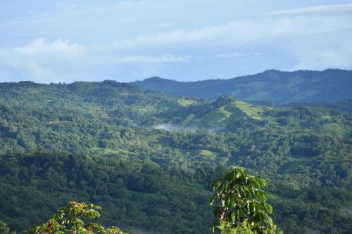 Brisa de la montaña:Cabaña con vista al bosque de Platanillo y al mar