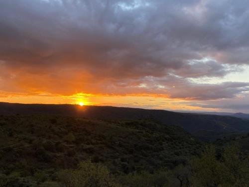 El Abigero II in ลา เฟรย์เจเนดา