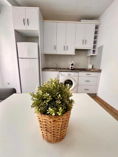 APARTAMENTO SANMIGUEL CENTRO, Cordoue (photo 6)
