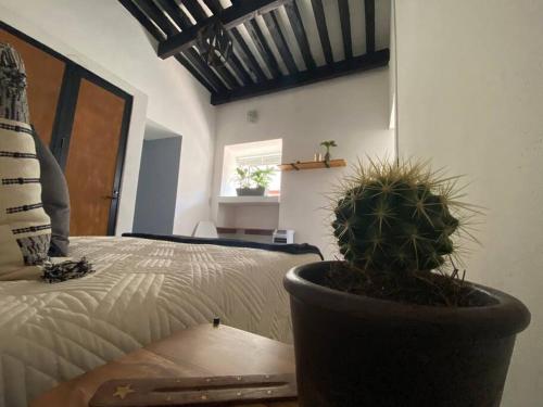 Encantador Departamento en Centro Histórico in Querétaro, Mexico