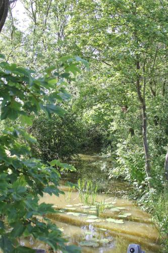 B & B Zazza - image 12