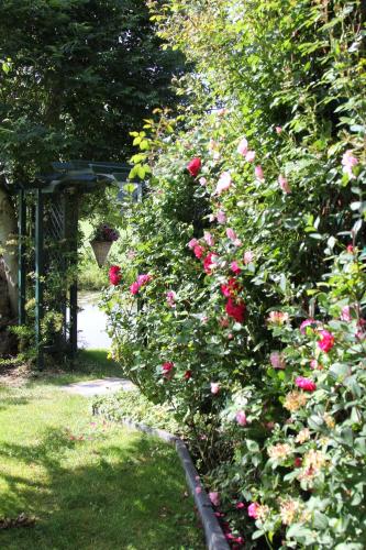 B & B Zazza - image 7