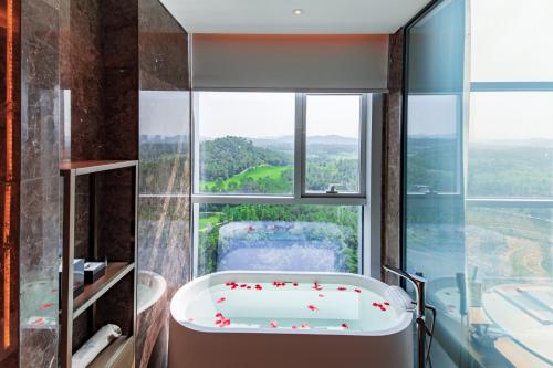 Wanda Realm Heshan