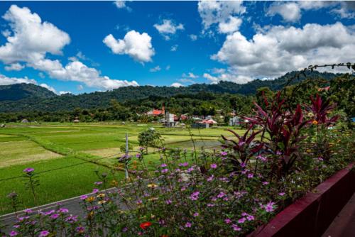 Santai Toraja