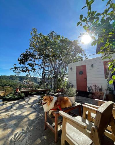 Lengkeng Da Lat Homestay - 숙소 외관
