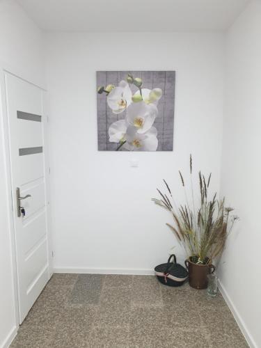 Noclegi - Pokoje - STEMPO