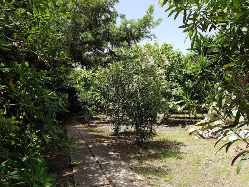 Villa Secchi bifamiliare sul mare IUNP4784