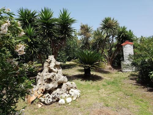 Villa Secchi bifamiliare sul mare IUNP4784