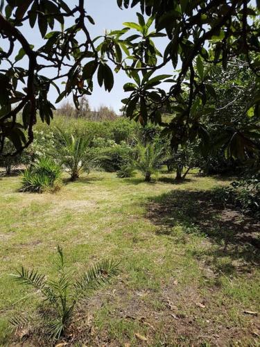 Villa Secchi bifamiliare sul mare IUNP4784