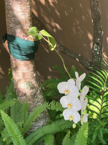 Prana Lodge photo 1