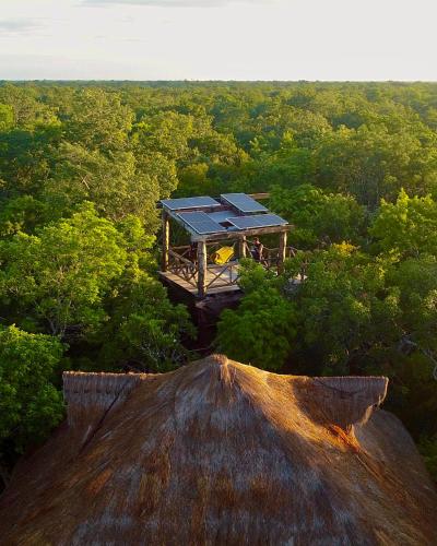 H2Ojos - Eco-Cabins surrounded by Nature and Cenotes in Tulum