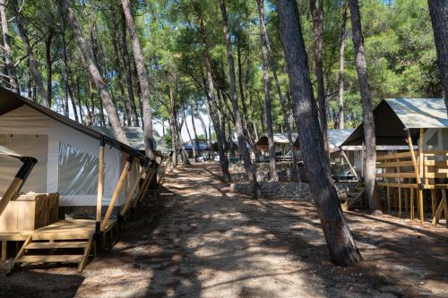Safari Tent Comfort image 3