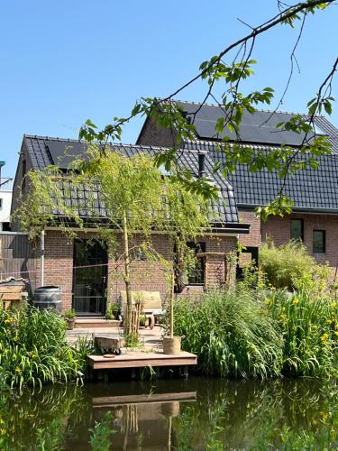 Guesthouse Rotterdam, tinyhouse nearby Kralingen, Rotterdam (foto 8)