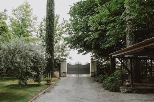 Il Giardino Degli Ulivi