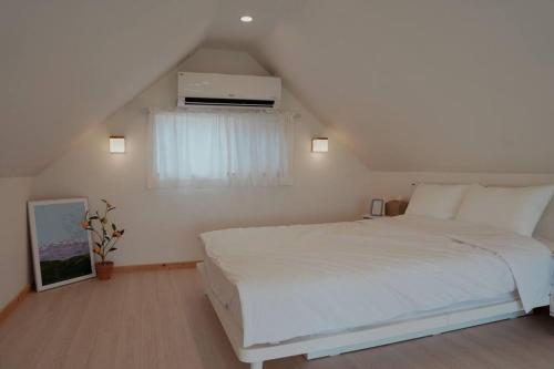 제주 소다라 타이니 하우스 (Sodara Tiny House) 3성급 싱글룸 스위트룸