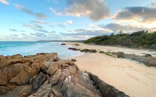 Coastal Garden Escape - Spa - Pizza oven in Moruya