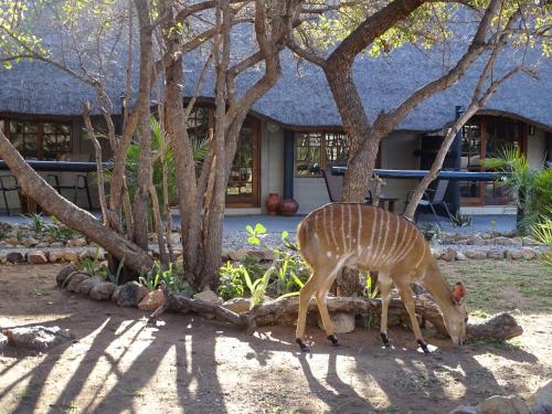 Hambana Lifestyle Lodge