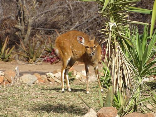 Hambana Lifestyle Lodge