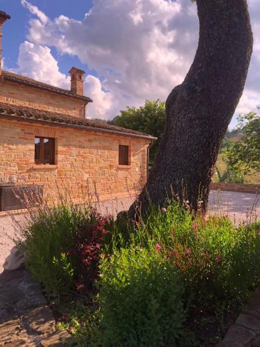 A szálláshely kívülről, Villa Serena - Teloni in Sant' Angelo in Pontano
