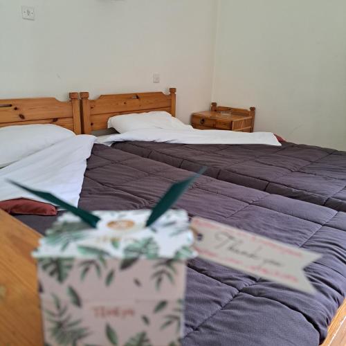  Apollon inn in Arachova