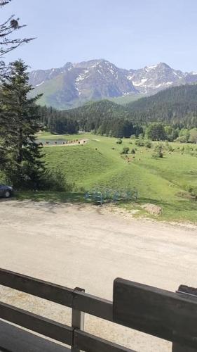 Au petit Payolle - Appartement type Chalet sur le Lac de Payolle