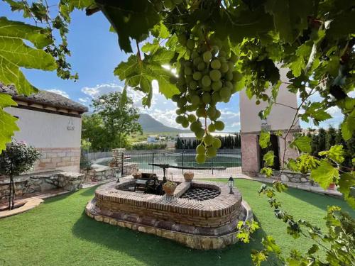 Dārzs, Cortijo la Noria II in Ueskara