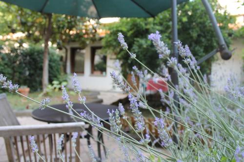 La Casa Di Scarlett – Florence, IA