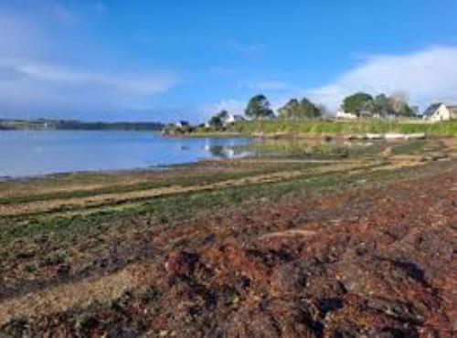 vue mer de l'autre coté du jardin