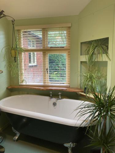 Iekārtas, Woodland Retreat, Market Lane, Blundeston, Lowestoft in Blundeston
