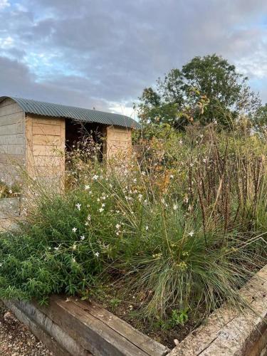 Owl Barn - main image