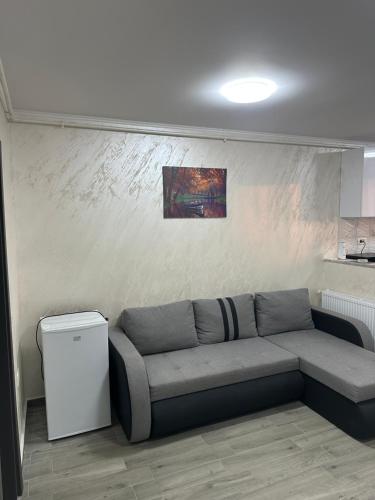 Apartament Alex Apartament Alex