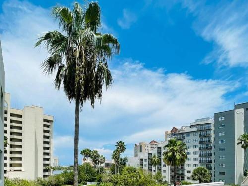 Gorgeous Studio near parks and Convention Center in Orlando, USA