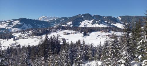 Daarhof, Wagrain (Foto 9)