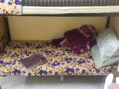 Bed space abu shagara park