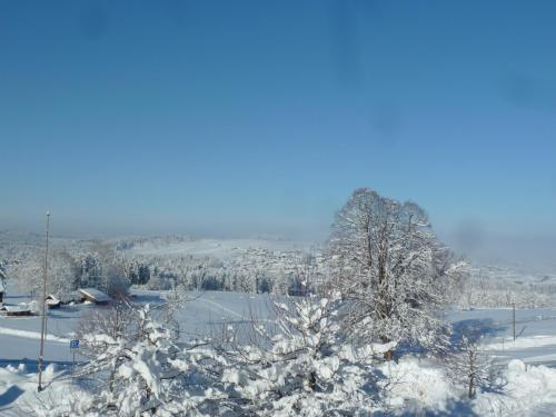 Ferienwohnung Panorama