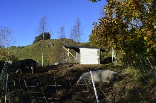 Guesthouse in Manger, Radøy Island