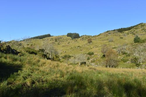 Guesthouse in Manger, Radøy Island Guesthouse in Manger, Radøy Island
