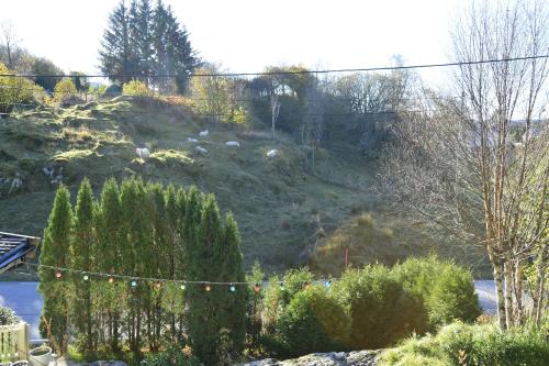 Guesthouse in Manger, Radøy Island Guesthouse in Manger, Radøy Island