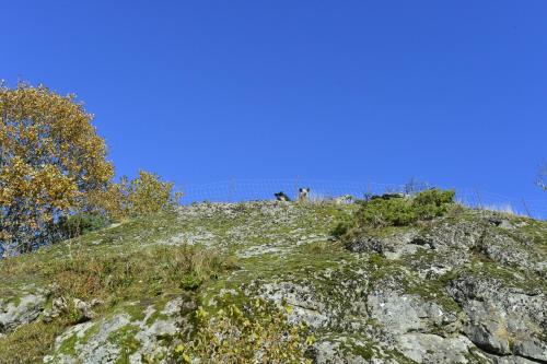 Guesthouse in Manger, Radøy Island Guesthouse in Manger, Radøy Island