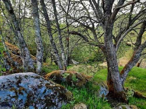 Guesthouse in Manger, Radøy Island Guesthouse in Manger, Radøy Island