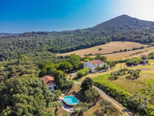  Holiday Home Podere gli Olivi by Interhome in Nibbiaia