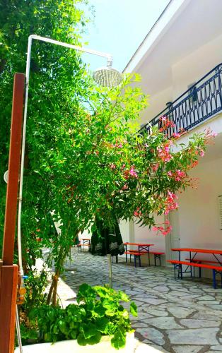 Facilities, Spiros Studios in Parga
