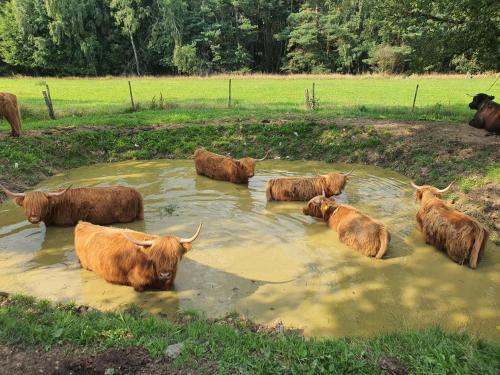 Farma Horní Paseky u Aše (Farma Horni Paseky u Ase) in As