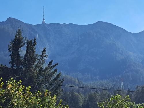 CasaBleiberg - Garten Apartment - Naturpark Dobratsch